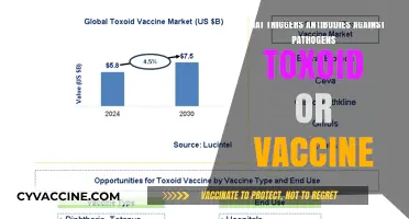 Understanding Antibody Triggers: Toxoids vs. Vaccines in Pathogen Defense
