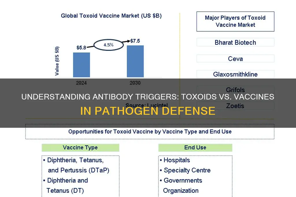what triggers antibodies against pathogens toxoid or vaccine