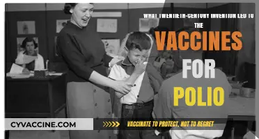 The Revolutionary Invention Behind Polio Vaccines: A 20th-Century Breakthrough
