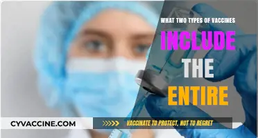 Understanding Whole Pathogen Vaccines: Live Attenuated and Inactivated Types Explained