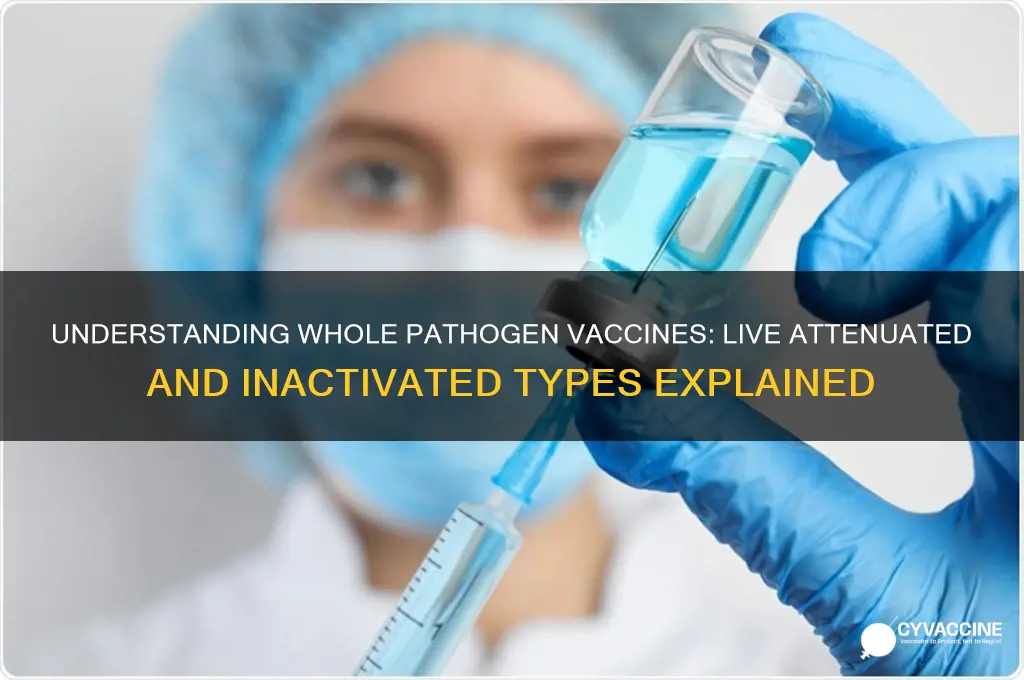 what two types of vaccines include the entire