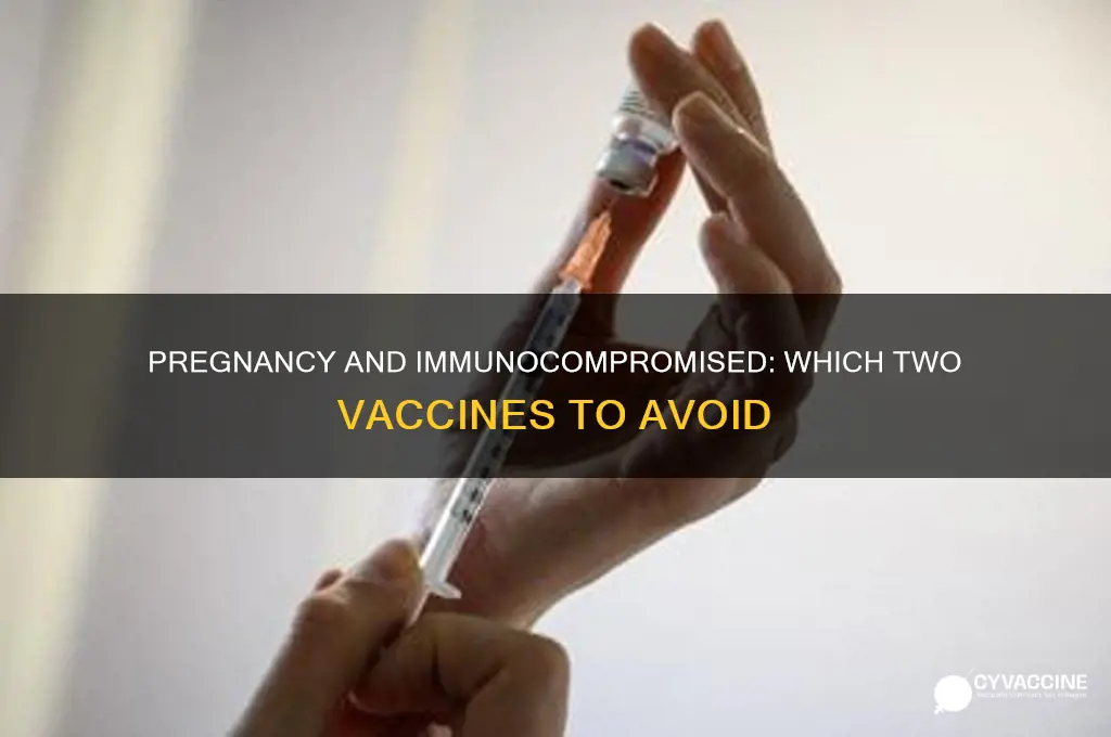 what two vaccines are contraindicated for a pregnant or immunocomprimised