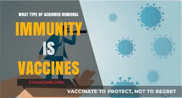Understanding Vaccines: How They Confer Acquired Humoral Immunity