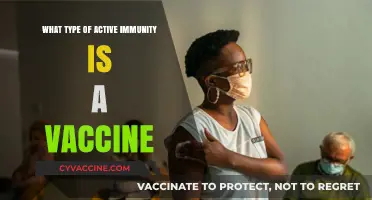 Vaccines: How They Trigger Active Immunity for Long-Term Protection