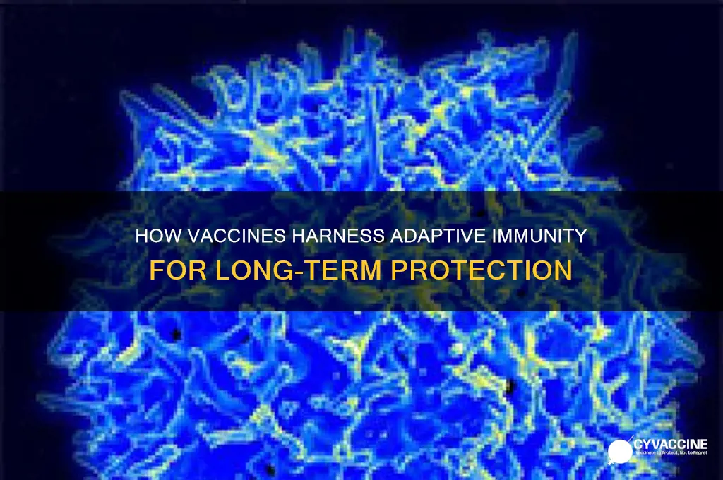 what type of adaptive immunity is a vaccine