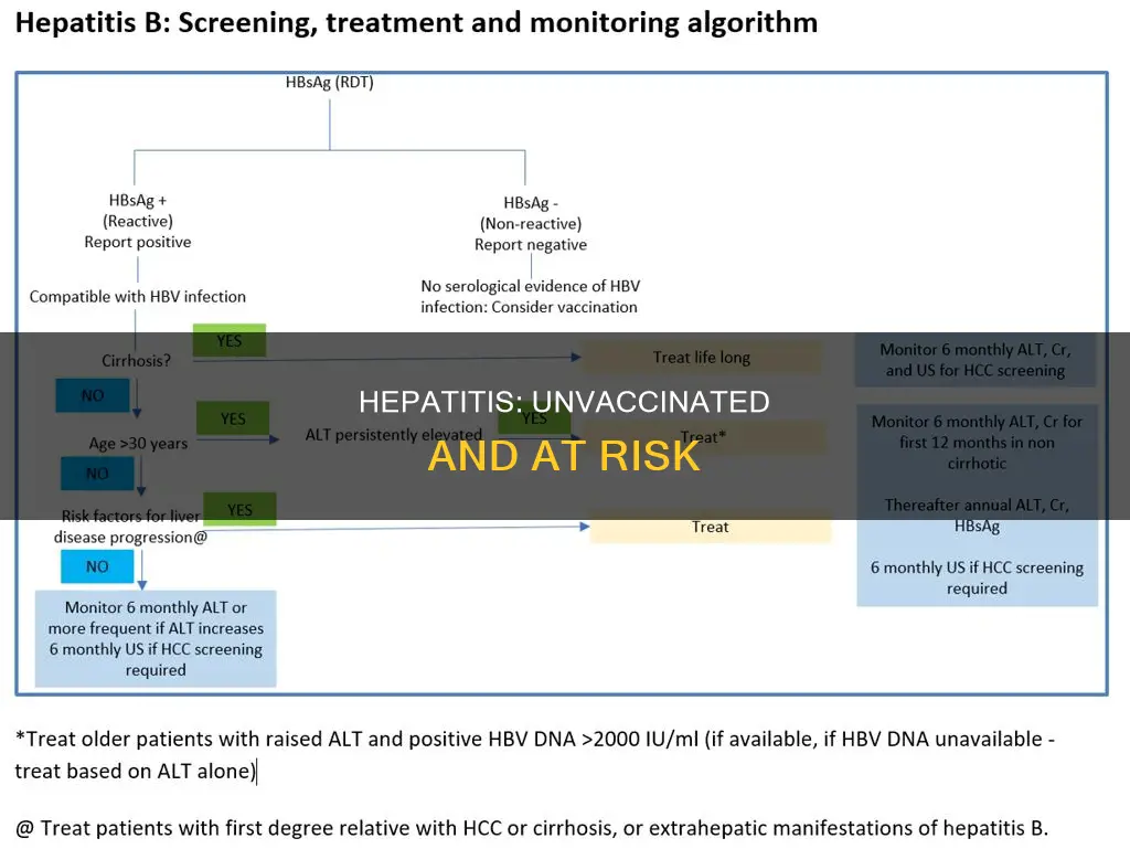 what type of hepatitis does not have a vaccine