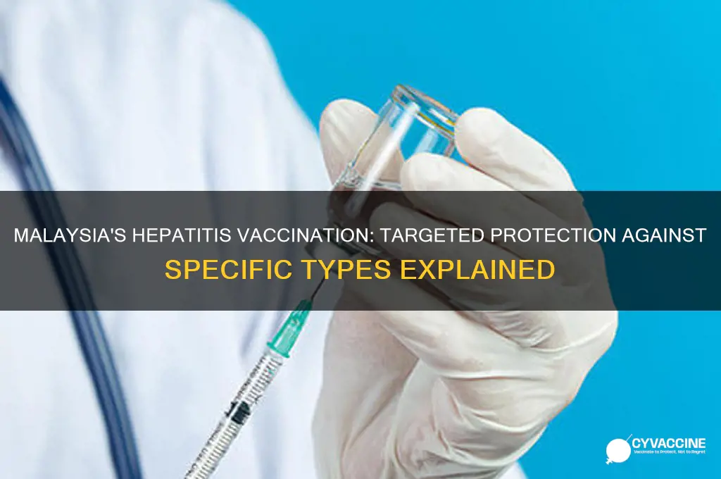 what type of hepatitis is vaccine against in malaysia