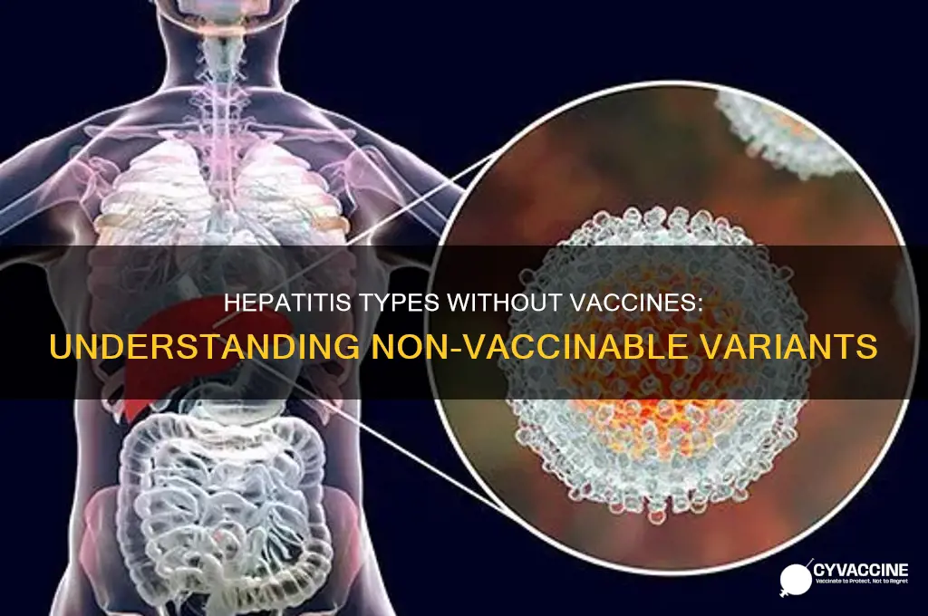 what type of hepatitis that does not have vaccination