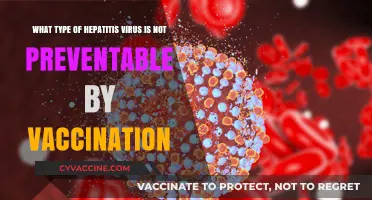 Unvaccinated Risks: Which Hepatitis Virus Lacks a Preventive Vaccine?