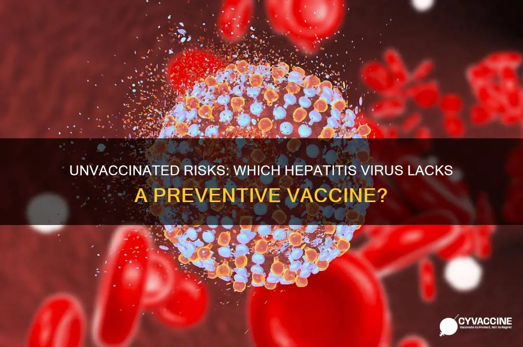 what type of hepatitis virus is not preventable by vaccination