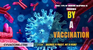 Vaccination Unveiled: Understanding the Immune Response Triggered by Vaccines
