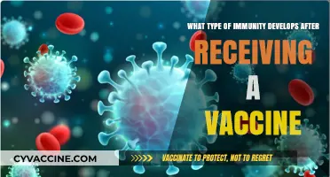 Understanding Post-Vaccination Immunity: Types and Long-Term Protection Explained