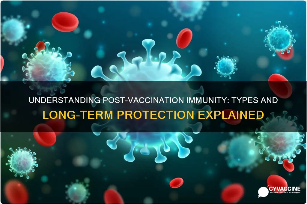 what type of immunity develops after receiving a vaccine