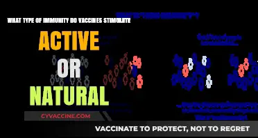 Vaccines: Stimulating Active Immunity, Not Natural Immunity Explained