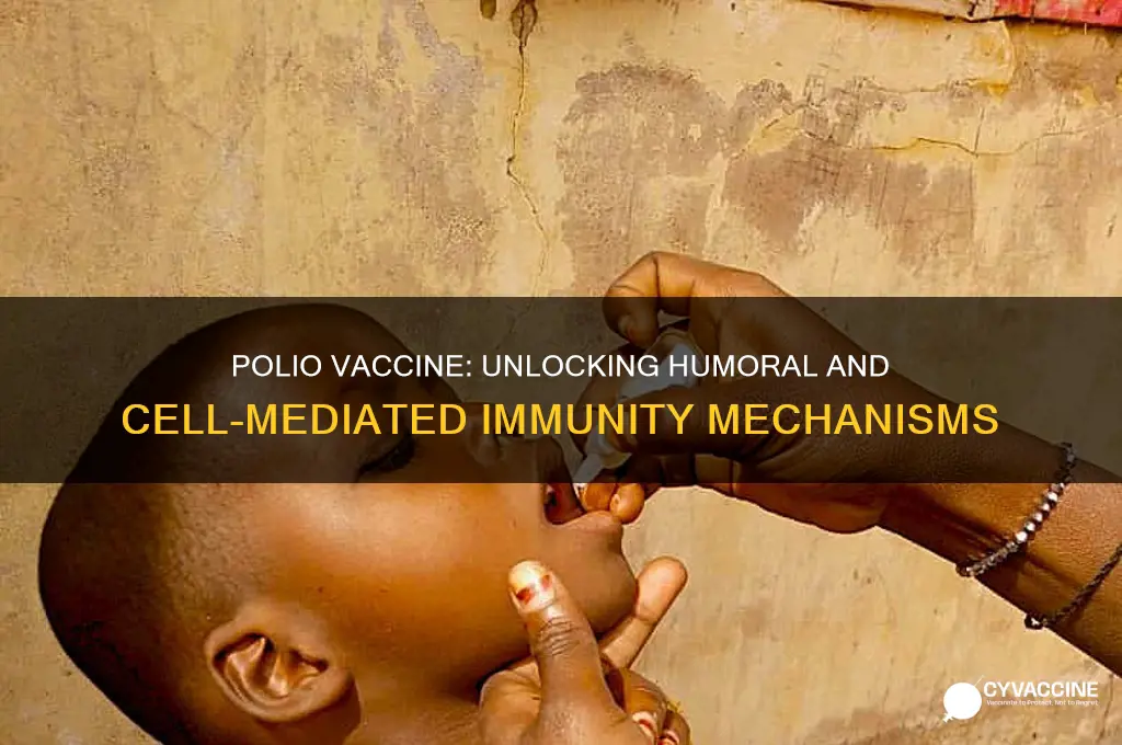 what type of immunity does a polio vaccine trigger