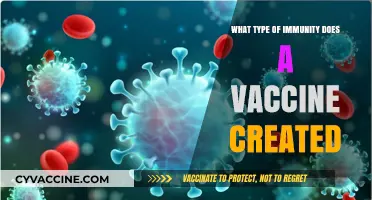 How Vaccines Trigger Active, Long-Lasting Immunity Against Diseases