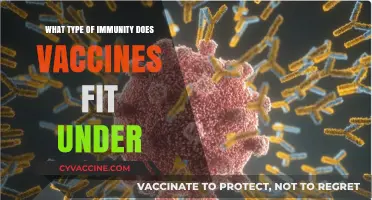Understanding Vaccine-Induced Immunity: Active, Passive, or Adaptive?