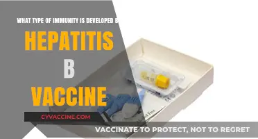 Hepatitis B Vaccine: Understanding the Type of Immunity It Develops