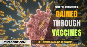 Vaccine-Induced Immunity: Understanding Types and Long-Term Protection Gained