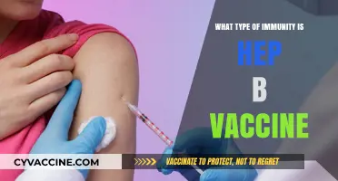 Hepatitis B Vaccine: Understanding the Type of Immunity It Provides