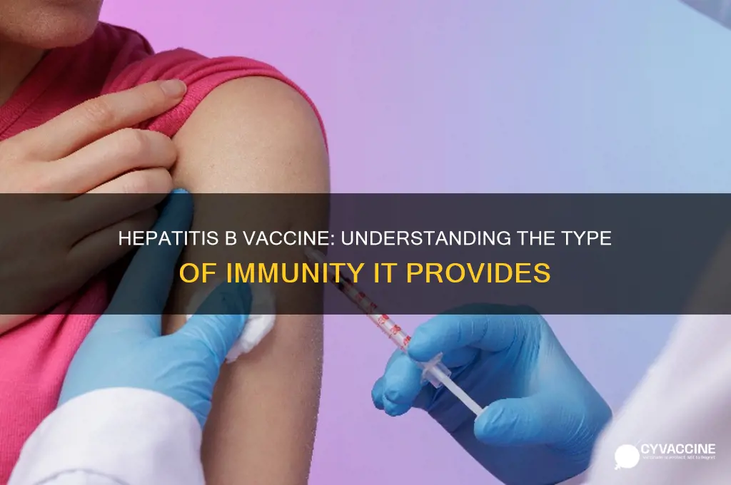 what type of immunity is hep b vaccine