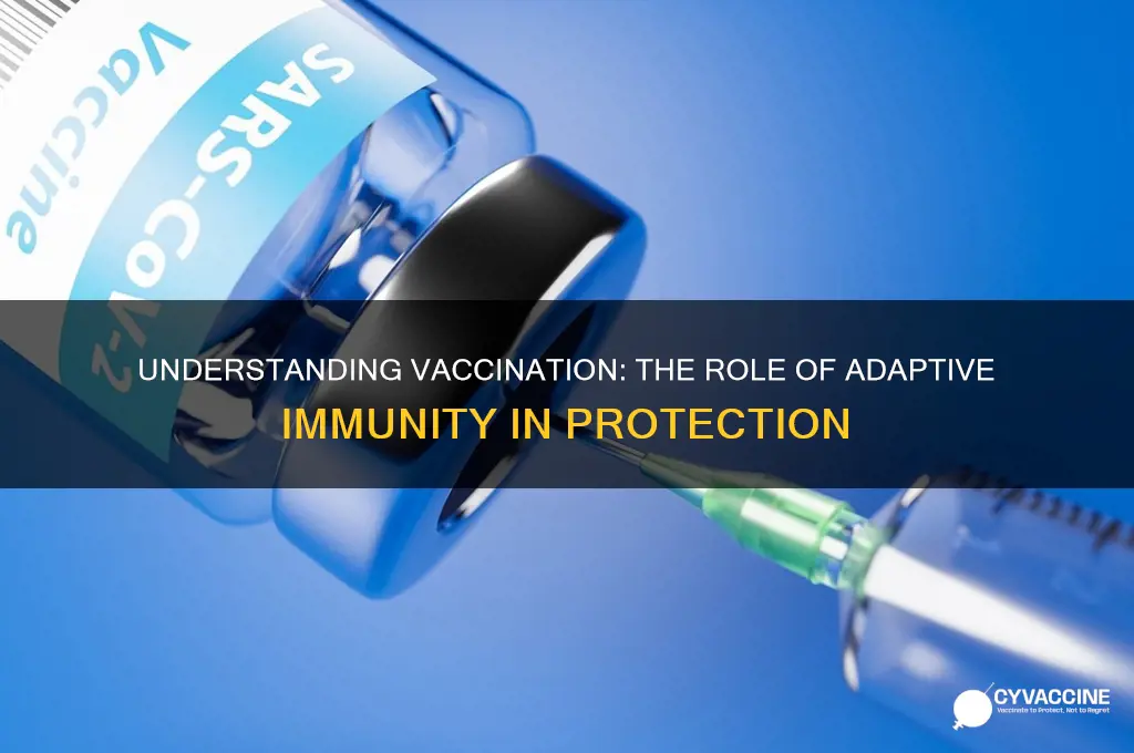 what type of immunity is involved with vaccination