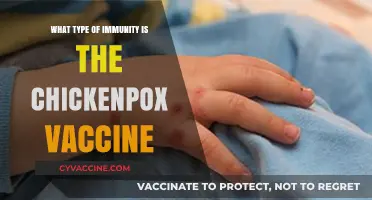 Chickenpox Vaccine: Understanding Its Role in Active Acquired Immunity
