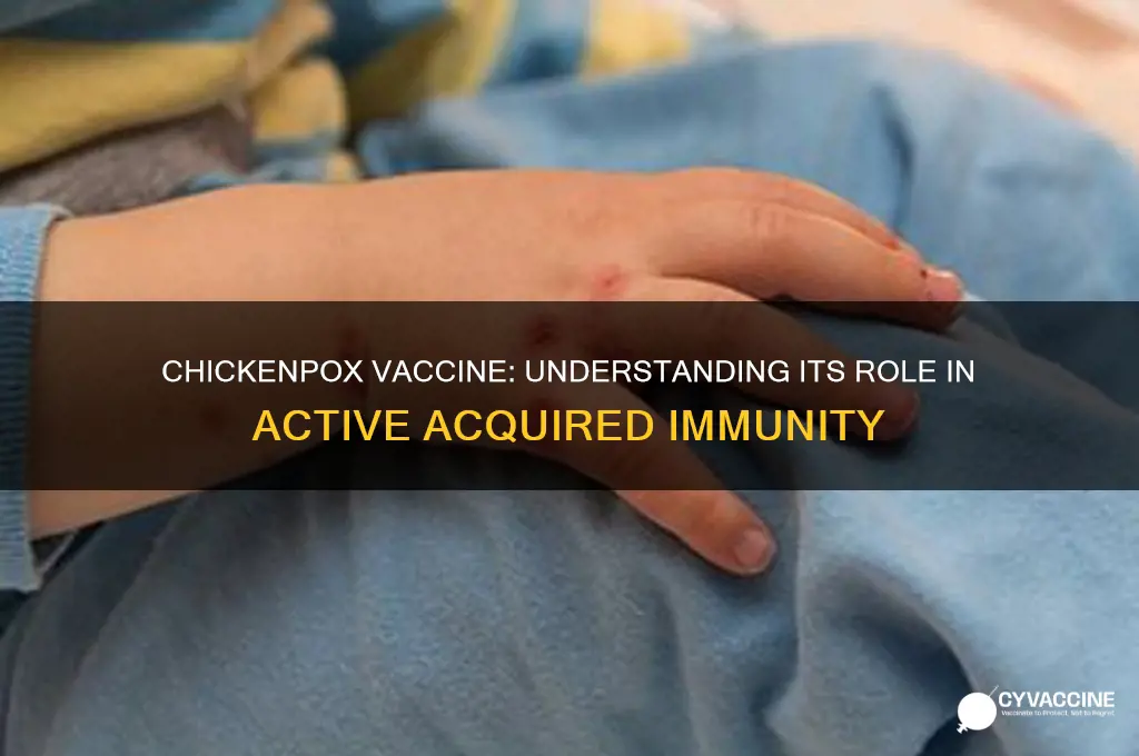 what type of immunity is the chickenpox vaccine