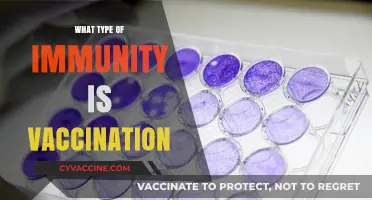 Understanding Vaccination: How It Boosts Active, Long-Term Immunity