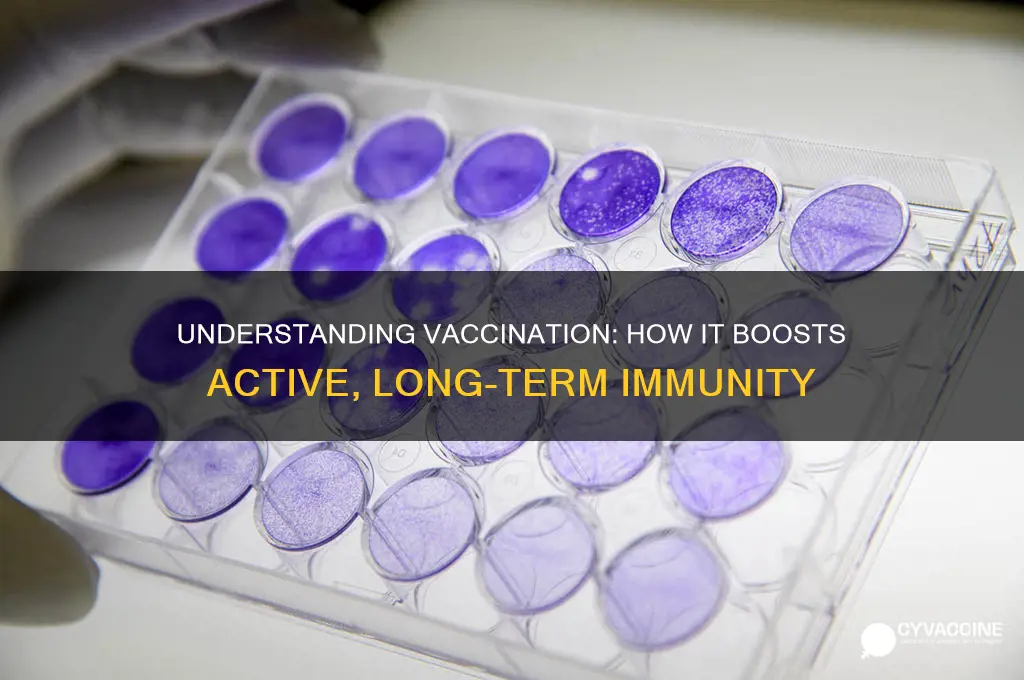 what type of immunity is vaccination