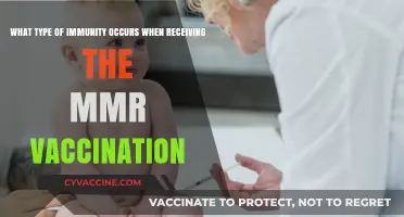MMR Vaccination: Understanding the Active Immunity It Provides