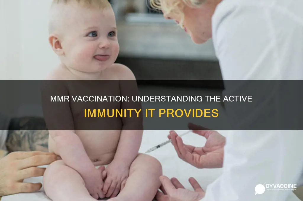 what type of immunity occurs when receiving the mmr vaccination
