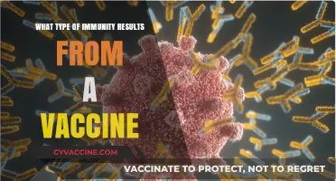 Vaccine-Induced Immunity: Understanding the Protective Power of Vaccines