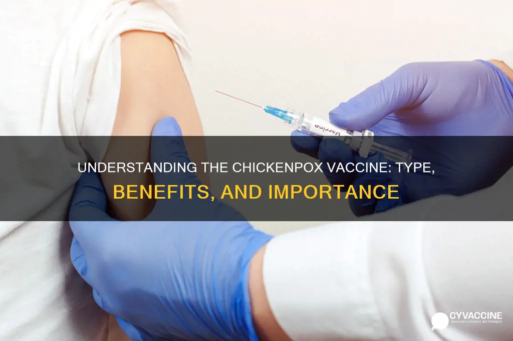 what type of immunization is the chicken pox vaccine