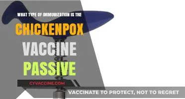 Is the Chickenpox Vaccine Passive Immunization? Understanding Its Type