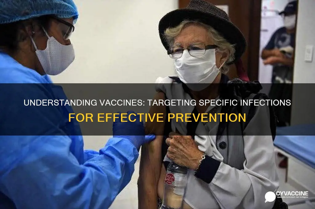 what type of infection is a vaccine designed to target