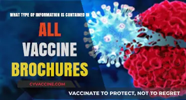 Vaccine Brochures: Essential Details You Need to Know Inside