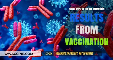 Vaccination: Unlocking Adaptive Immunity Through Innate Immune System Activation
