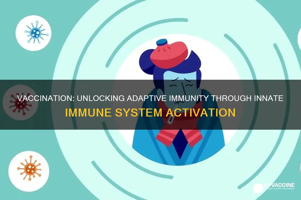 what type of innate immunity results from vaccination