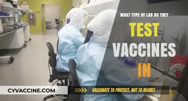 Exploring the Specialized Labs Where Vaccines Undergo Rigorous Testing