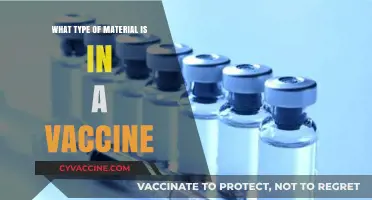 Understanding Vaccine Composition: Key Materials and Their Roles Explained