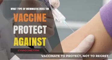 Meningitis Vaccines: Which Types of Meningitis Do They Protect Against?