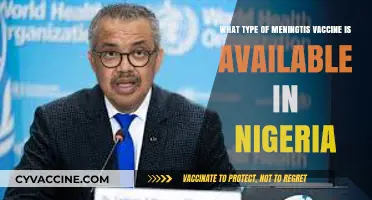 Available Meningitis Vaccines in Nigeria: Types and Accessibility Explained