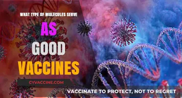 Effective Vaccine Molecules: Unlocking Immunity Through Optimal Antigens and Adjuvants