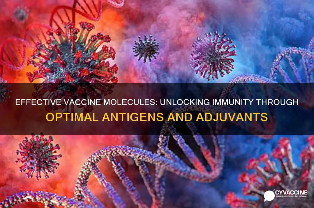 what type of molecules serve as good vaccines