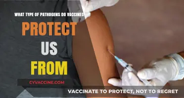 Vaccines: Shielding Us from Bacterial, Viral, and Other Pathogens
