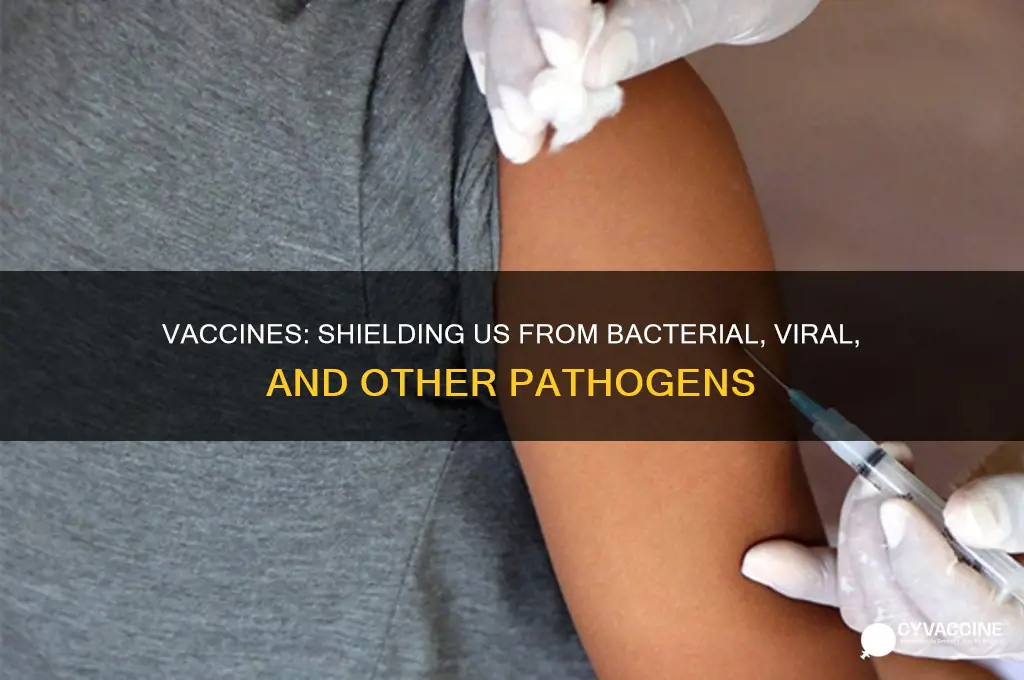 what type of pathogens do vaccines protect us from
