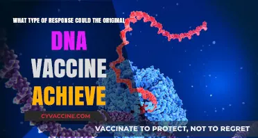 Exploring the Potential of Original DNA Vaccines: Immune Responses and Applications
