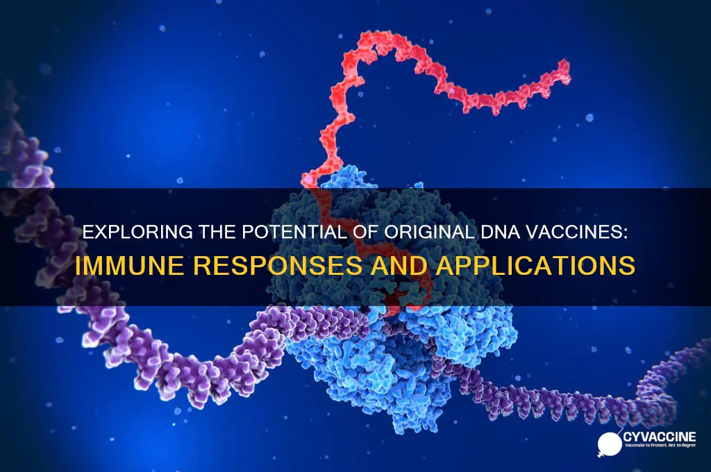 what type of response could the original dna vaccine achieve
