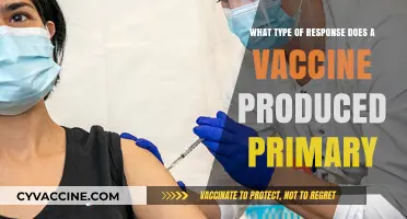 Understanding Primary Vaccine Responses: Types and Immune System Reactions